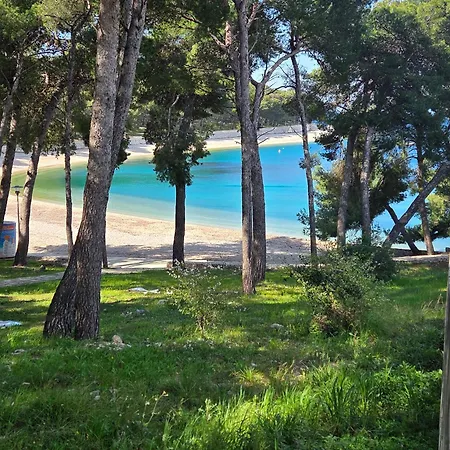 Bluebay *